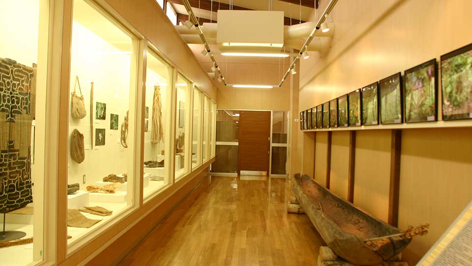 アイヌ文化の森 伝承のコタン